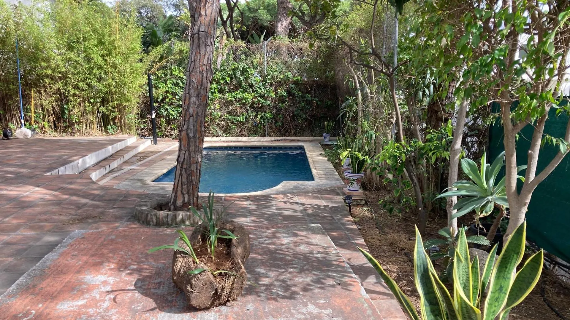 Marbella White Home, Calahonda, By Sol Maestranza Sitio de Calahonda